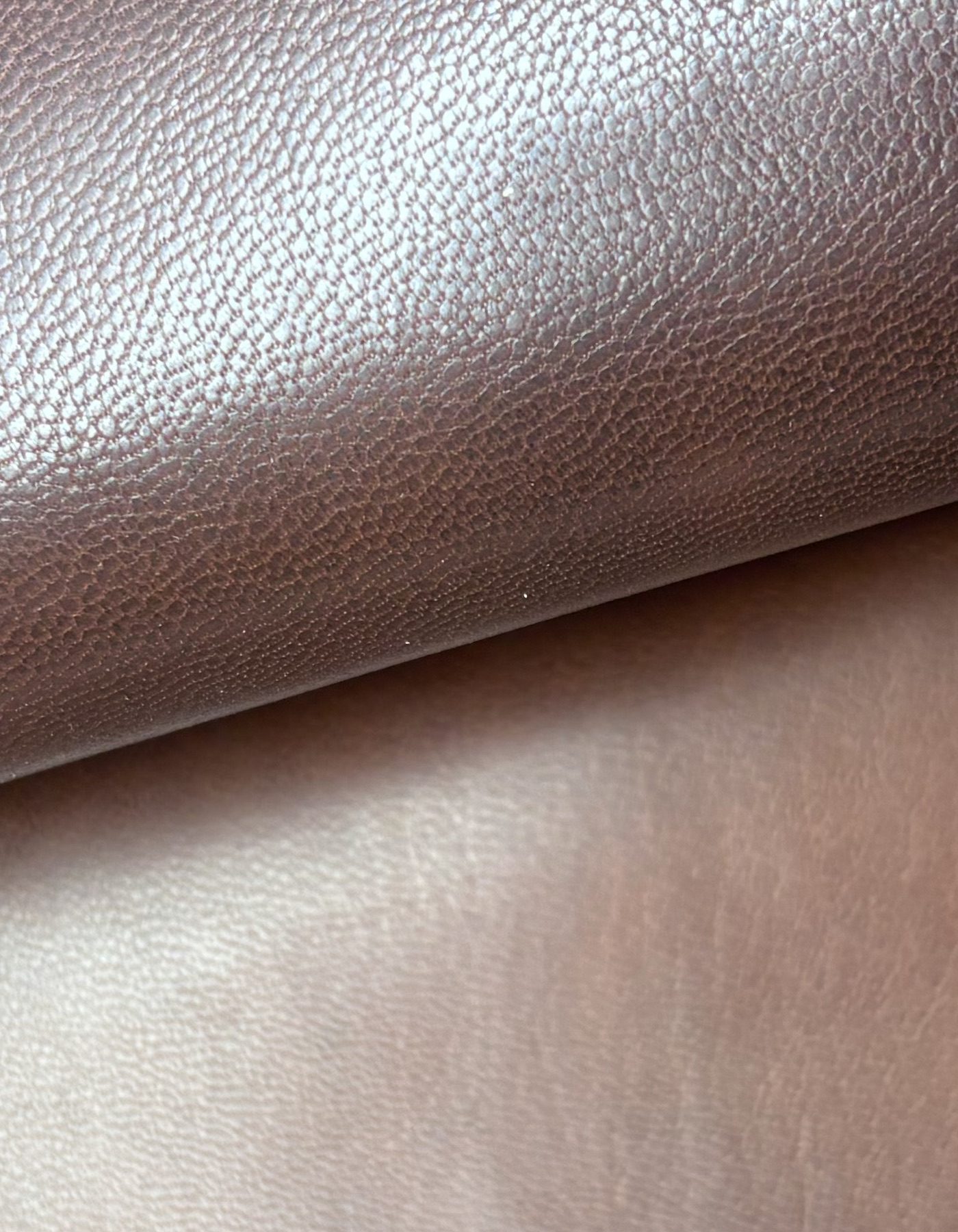 Goat Oily Aniline Leather — Reliance Exim
